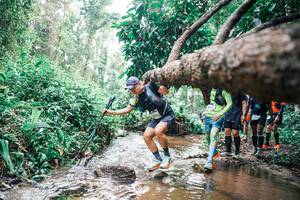 BIB: 
                            <button type="button" onclick="openModal(25375041)" class="btn btn-primary btn-sm float-right btn-popup" data-toggle="modal" data-target=".modal-high-quality">
                        <i class="fas fa-shopping-cart"></i> Add to Cart
                    </button>
                                            <button type="button" onclick="isThisMe(25375041, true)" class="btn btn-success btn-sm float-right btn-popup btn-isme hidden" data-toggle="tooltip" data-placement="bottom" title="นี่คือรูปของคุณใช่ไหม คลิกที่นี่เพื่อเอาเข้าอัลบั้ม">
                        <i class="fas fa-plus"></i> Add to album
                    </button>
                    <button type="button" onclick="isThisMe(25375041, false)" class="btn btn-warning btn-sm float-right btn-popup btn-isnotme hidden">
                        <i class="fas fa-ban"></i> Remove from album
                    </button>